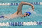 Swimming & Diving vs RWU  Swimming & Diving vs Roger Williams University. - Photo by Keith Nordstrom : Wheaton, Swimming